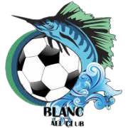 都柏林FC